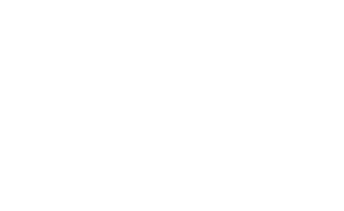 Logo STEP